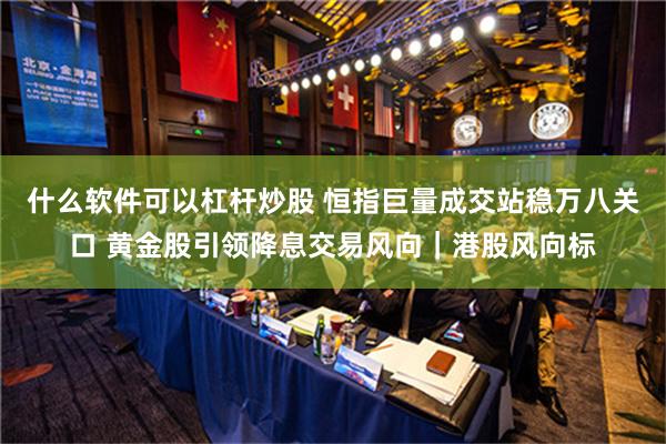 什么软件可以杠杆炒股 恒指巨量成交站稳万八关口 黄金股引领降息交易风向｜港股风向标