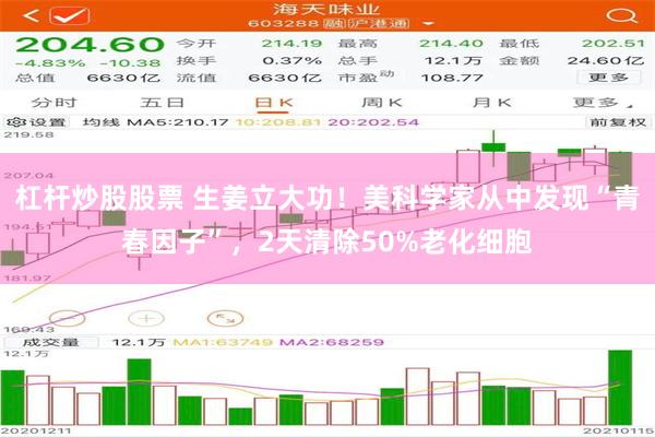 杠杆炒股股票 生姜立大功！美科学家从中发现“青春因子”，2天清除50%老化细胞