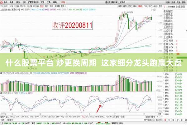 什么股票平台 炒更换周期  这家细分龙头跑赢大盘