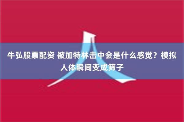 牛弘股票配资 被加特林击中会是什么感觉？模拟人体瞬间变成筛子