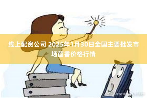 线上配资公司 2025年1月30日全国主要批发市场茴香价格行情