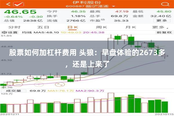 股票如何加杠杆费用 头狼：早盘体验的2673多，还是上来了